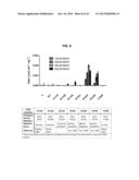 NOVEL OXIDOREDUCTASES FOR ENANTIOSELECTIVE REACTIONS diagram and image