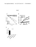 NOVEL OXIDOREDUCTASES FOR ENANTIOSELECTIVE REACTIONS diagram and image