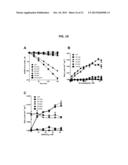 NOVEL OXIDOREDUCTASES FOR ENANTIOSELECTIVE REACTIONS diagram and image