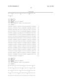 NOVEL OXIDOREDUCTASES FOR ENANTIOSELECTIVE REACTIONS diagram and image