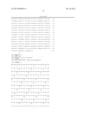 NOVEL OXIDOREDUCTASES FOR ENANTIOSELECTIVE REACTIONS diagram and image