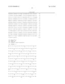 NOVEL OXIDOREDUCTASES FOR ENANTIOSELECTIVE REACTIONS diagram and image