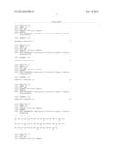 Rationally-Designed Single-Chain Meganucleases With Non-Palindromic     Recognition Sequences diagram and image