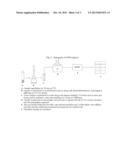 Method for Measuring Neuropeptide Y in Biological Samples diagram and image