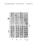 HERBICIDAL COMPOUND SCREENING diagram and image