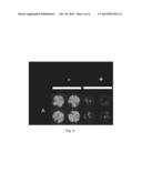 HERBICIDAL COMPOUND SCREENING diagram and image