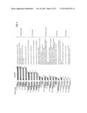 BIOLOGICAL SAMPLE TARGET CLASSIFICATION, DETECTION AND SELECTION METHODS,     AND RELATED ARRAYS AND OLIGONUCLEOTIDE PROBES diagram and image