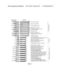 BIOLOGICAL SAMPLE TARGET CLASSIFICATION, DETECTION AND SELECTION METHODS,     AND RELATED ARRAYS AND OLIGONUCLEOTIDE PROBES diagram and image