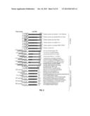 BIOLOGICAL SAMPLE TARGET CLASSIFICATION, DETECTION AND SELECTION METHODS,     AND RELATED ARRAYS AND OLIGONUCLEOTIDE PROBES diagram and image