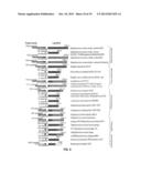 BIOLOGICAL SAMPLE TARGET CLASSIFICATION, DETECTION AND SELECTION METHODS,     AND RELATED ARRAYS AND OLIGONUCLEOTIDE PROBES diagram and image