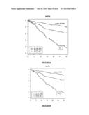 USE OF SPECIFIC GENES FOR THE PROGNOSIS OF LUNG CANCER AND THE     CORRESPONDING PROGNOSIS METHOD diagram and image