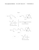 Lipid Construct for Delivery of Insulin to a Mammal diagram and image