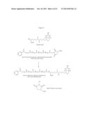 Lipid Construct for Delivery of Insulin to a Mammal diagram and image