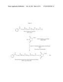 Lipid Construct for Delivery of Insulin to a Mammal diagram and image