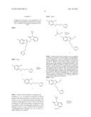 BENZIMIDAZOLE RESPIRATORY SYNCYTIAL VIRUS INHIBITORS diagram and image