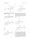 Macrocyclic Indoles as Hepatitis C Virus Inhibitors diagram and image