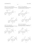 SUBSTITUTED BENZOPYRAZIN DERIVATIVES AS FGFR KINASE INHIBITORS FOR THE     TREATMENT OF CANCER DISEASES diagram and image