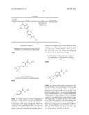 SUBSTITUTED 6-IMIDAZOPYRAZINES FOR USE AS MPS-1 AND TKK INHIBITORS IN THE     TREATMENT OF HYPERPROLIFERATIVE DISORDERS diagram and image