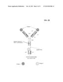 BISPECIFIC ANTIBODIES COMPRISING A DISULFIDE STABILIZED - FV FRAGMENT diagram and image