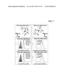 BISPECIFIC ANTIBODIES COMPRISING A DISULFIDE STABILIZED - FV FRAGMENT diagram and image