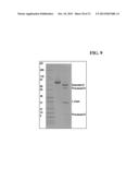 BISPECIFIC ANTIBODIES COMPRISING A DISULFIDE STABILIZED - FV FRAGMENT diagram and image