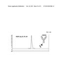 BISPECIFIC ANTIBODIES COMPRISING A DISULFIDE STABILIZED - FV FRAGMENT diagram and image