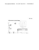 BISPECIFIC ANTIBODIES COMPRISING A DISULFIDE STABILIZED - FV FRAGMENT diagram and image