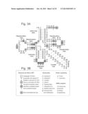 Nuclions and Ribocapsids diagram and image