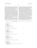 Nuclions and Ribocapsids diagram and image