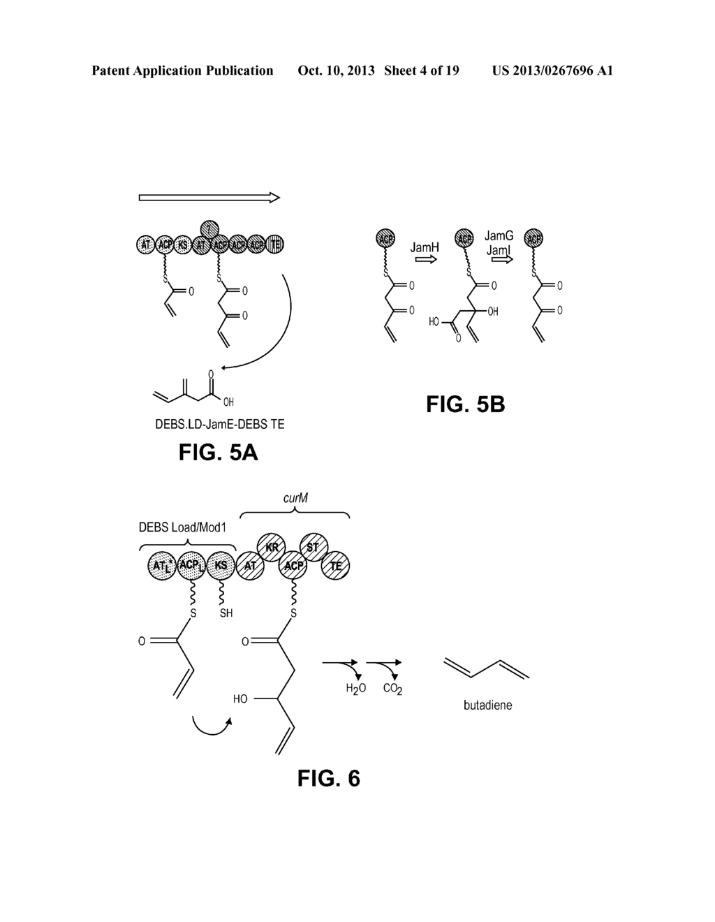 PRODUCING ALPHA-OLEFINS USING POLYKETIDE SYNTHASES - diagram, schematic, and image 05