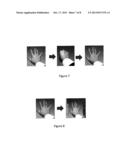 FREE HAND GESTURE CONTROL OF AUTOMOTIVE USER INTERFACE diagram and image