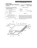 ELECTROSTATIC CAPACITANCE INPUT DEVICE AND ELECTRO-OPTICAL DEVICE HAVING     INPUT DEVICE diagram and image