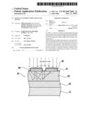 RAMAN SCATTERING LIGHT ENHANCING DEVICE diagram and image