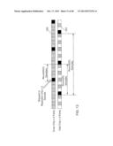 ELECTRIC MONITORING SYSTEM USING A RANDOM PHASE MULTIPLE ACCESS SYSTEM diagram and image