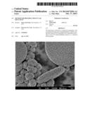 METHOD FOR PREPARING MOLECULAR SIEVE SSZ-87 diagram and image