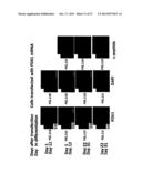 INSULIN PRODUCING CELLS DERIVED FROM PLURIPOTENT STEM CELLS diagram and image