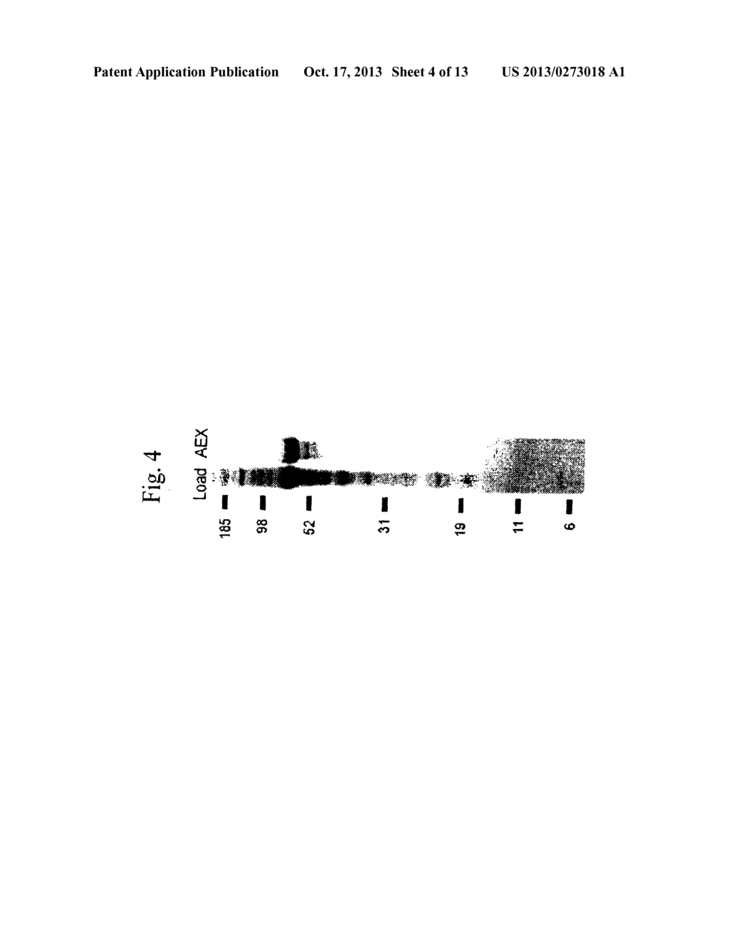 RECOMBINANT HUMAN CLN2 PROTEIN AND METHODS OF ITS PRODUCTION AND USE - diagram, schematic, and image 05