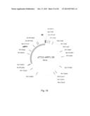 NPP1 FUSION PROTEINS diagram and image