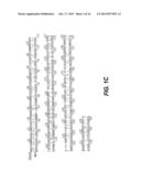 DETECTION, ISOLATION AND USES OF RENALASE (MONOAMINE OXIDASE C) diagram and image