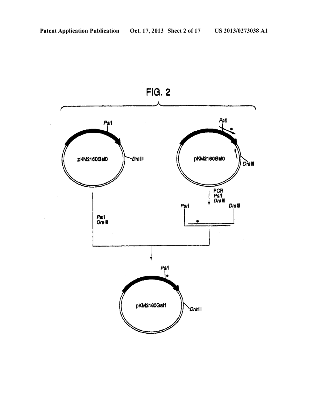 HUMAN CDR-GRAFTED ANTIBODY AND ANTIBODY FRAGMENT THEREOF - diagram, schematic, and image 03