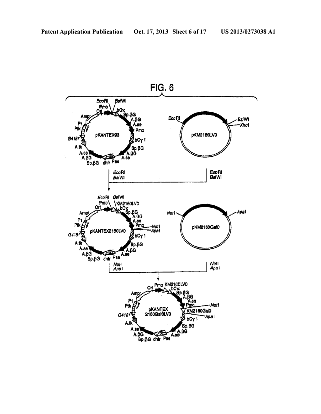 HUMAN CDR-GRAFTED ANTIBODY AND ANTIBODY FRAGMENT THEREOF - diagram, schematic, and image 07