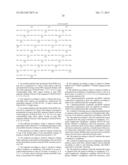 Therapeutic Antibodies against ROR-1 Protein and Methods for Use of Same diagram and image