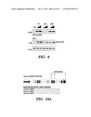 METHOD FOR DETERMINING ACTIVATORS OF EXCITATORY SYNAPSE FORMATION diagram and image