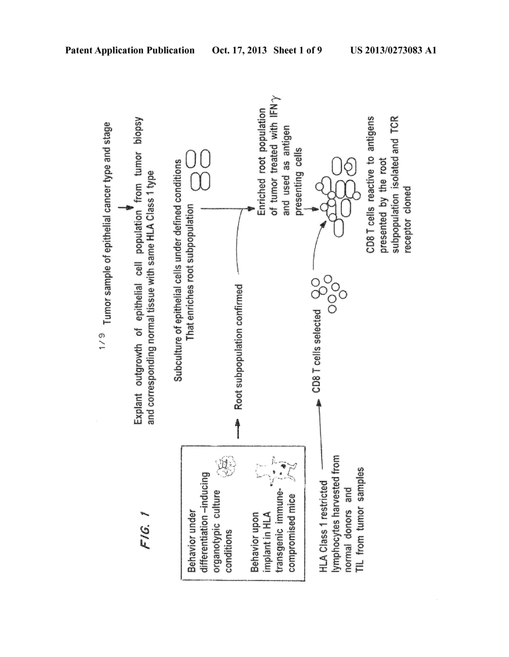 System for Immunotherapy Targeting Tumor Propagation and Progression - diagram, schematic, and image 02