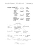 System for Immunotherapy Targeting Tumor Propagation and Progression diagram and image