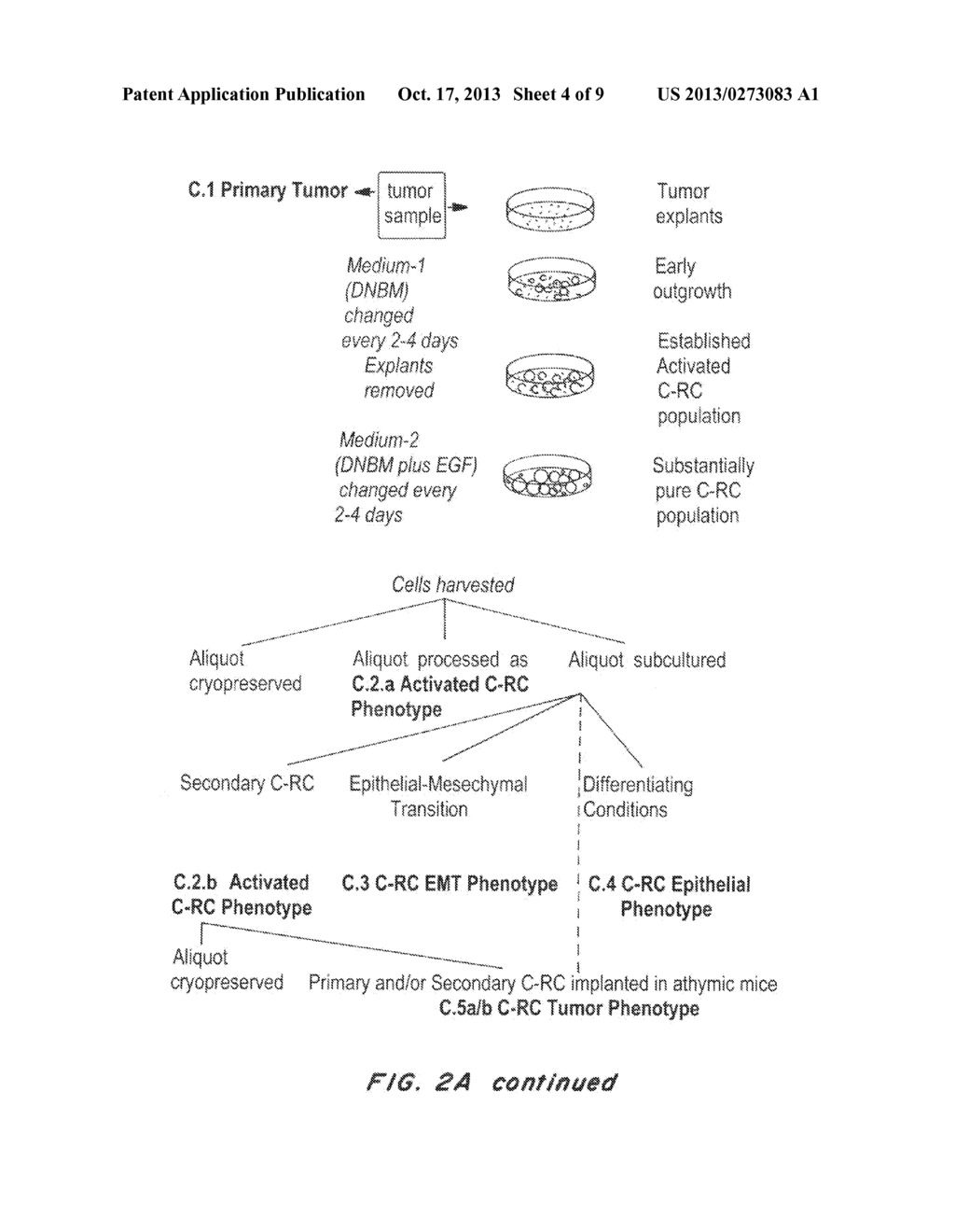 System for Immunotherapy Targeting Tumor Propagation and Progression - diagram, schematic, and image 05