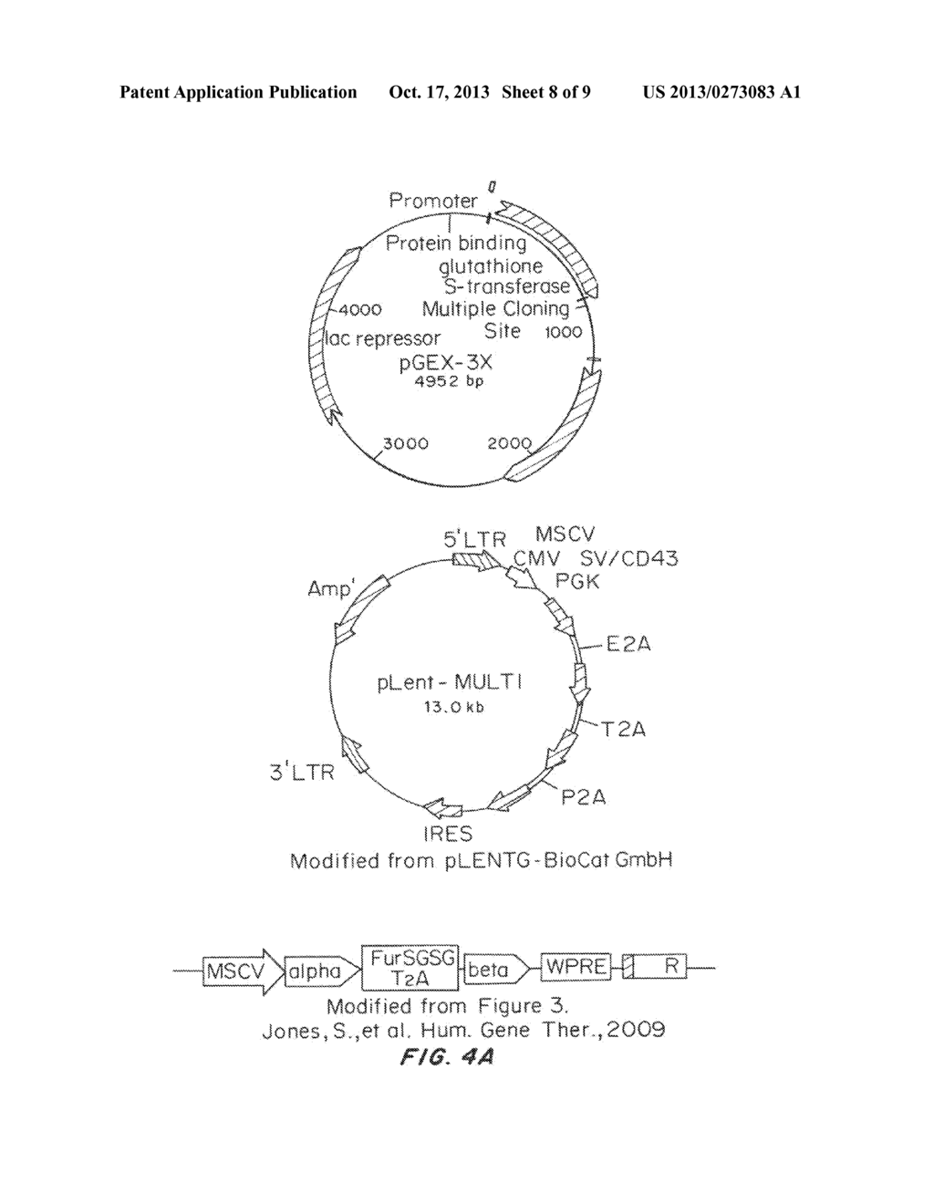 System for Immunotherapy Targeting Tumor Propagation and Progression - diagram, schematic, and image 09