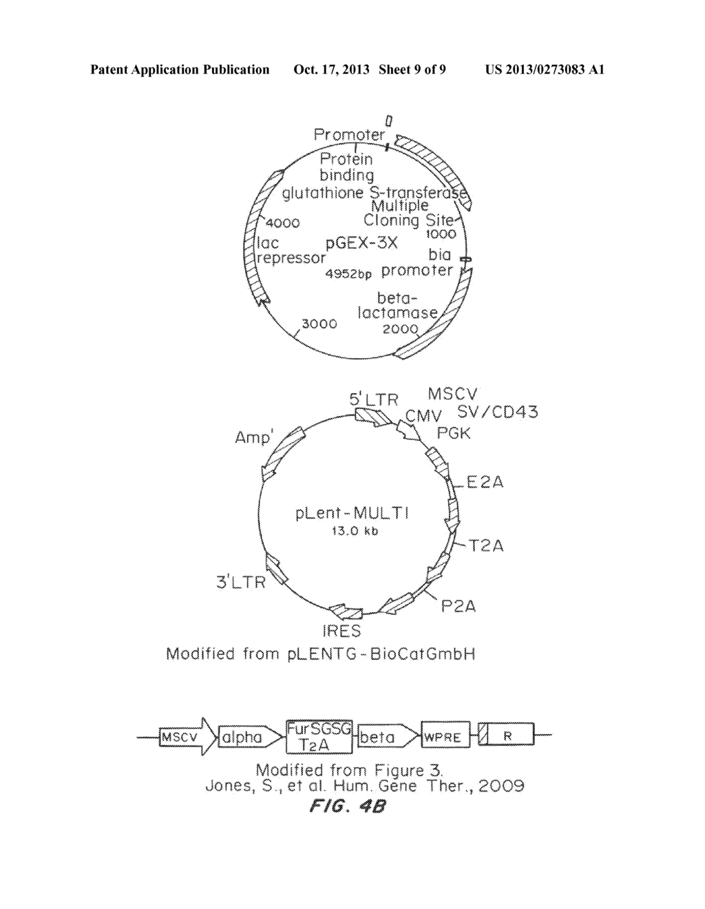 System for Immunotherapy Targeting Tumor Propagation and Progression - diagram, schematic, and image 10