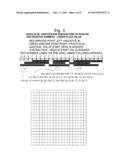 Checkerboard Math/Dora s Grid Math diagram and image