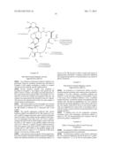 NMR SYSTEMS AND METHODS FOR THE RAPID DETECTION OF ANALYTES diagram and image